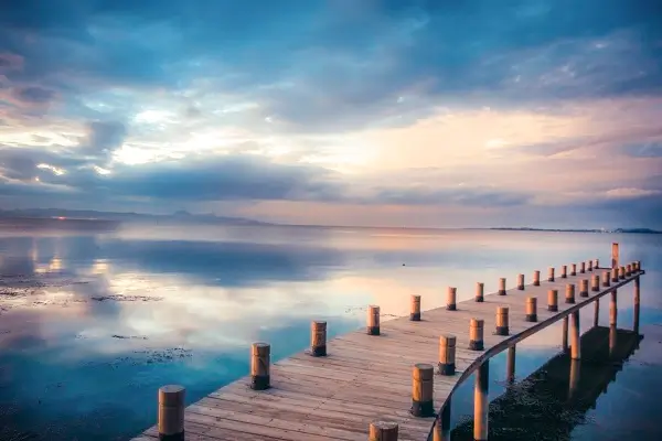 兰州大学沈鑫简介