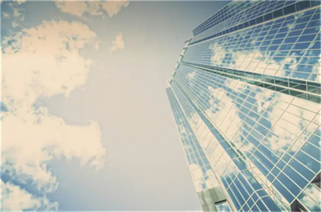 聊城大学刘国强简介照片